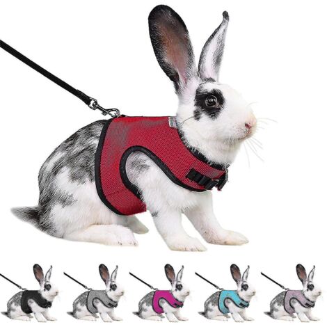 Harnais pour lapin, furet, rat et hamster, confortable et réglable, avec laisse et harnais en maille douce - XL - Rose rouge