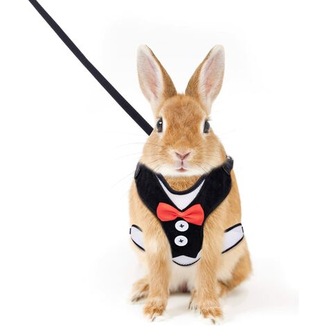 Harnais pour Lapins, Dos à Nœud Papillon Respirant et Décontracté, Réglable Harnais pour Petits Animaux, Convient pour Les Promenades (Noir, 25-40cm)——Adélala