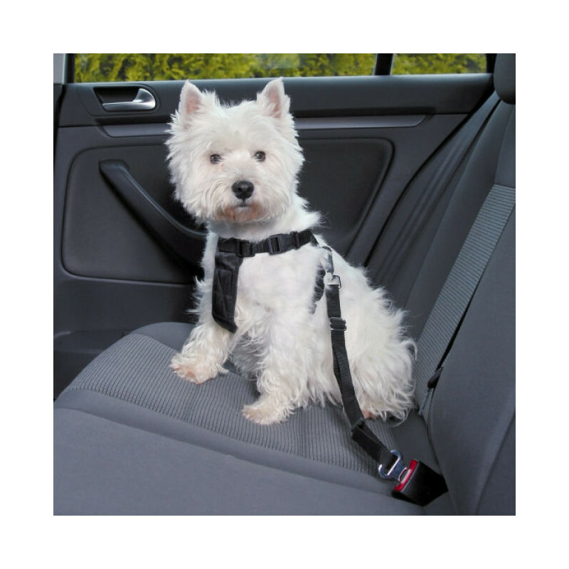 Ceinture de sécurité Friends on tour pour chiens Taille XS Longueur 20/50 cm (Ex : Yorkshire)