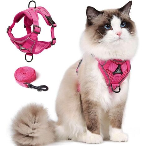 Harnais réfléchissant et anti-évasion pour chat et petit chien, taille M