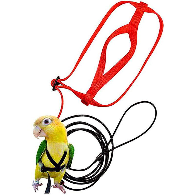 Harnais réglable pour oiseaux - Anti-morsure, convient aux perroquets, cacatoès, perruches (collier jaune)