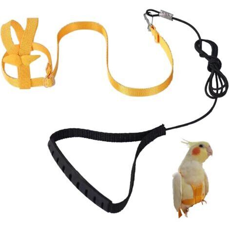 Harnais réglable pour Perroquet Laisse pour Animal Domestique Corde Anti-Morsure Sangle élastique pour Pigeon, Psittacus erithacus, Eclectus roratus, Cacatua galerita, Ara rouge, Big Cacatua galerita(