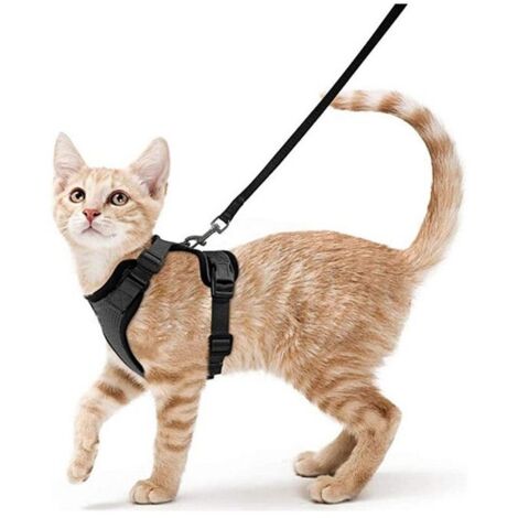 Harnais respirant pour chat, taille S, fournitures pour animaux de compagnie, corde de marche réfléchissante et anti-casse