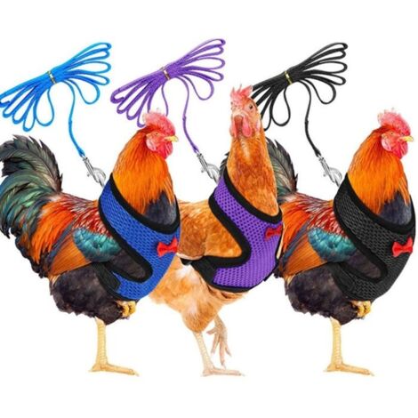 Harnais Souple Réglable pour Poule, Laisse Respirante Confortable, 3 Pièces pour Canard et Petits Animaux