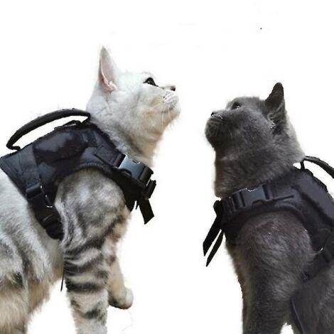 Harnais tactique pour chat, anti-fugue, en maille douce et ajustable, pour grands chats et petits chiens (NOIR)