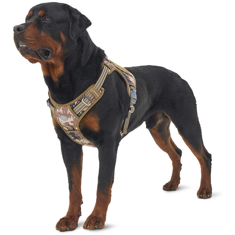 Harnais tactique pour chien anti-traction, gilet respirant réglable Betterlife facile à enfiler pour petits, moyens et grands chiens, harnais