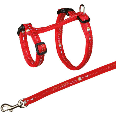 Harnais XXL avec laisse pour grand chat 34-57 cm/13 mm couleur aléatoire - Trixie
