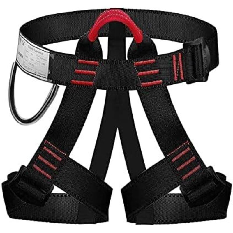HarnaisBaudrier Escalade Harnais d'escalade Ceinture de sécurité pour Femme Homme Escalade Alpinisme Montagne Descente en Rappel