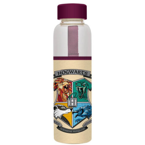 Harry Potter - Botella de agua de cristal de 500 ml (Hogwarts)
