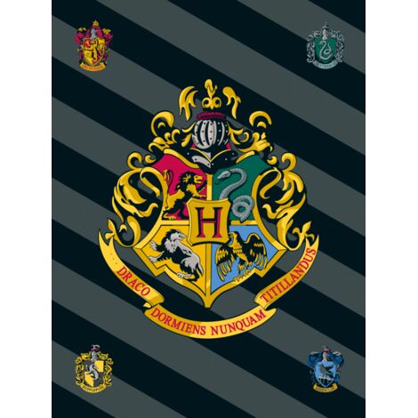 Harry Potter - Couverture polaire "4 maisons" - 100 x 150 cm - Livraison gratuite