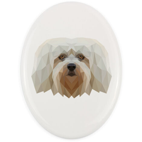 Havaneser - ein Schild mit Foto und geometrischer Aufschrift von Art-Dog