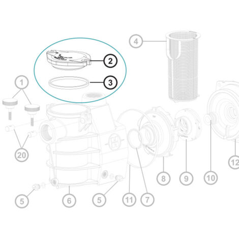Hayward – Couvercle et joint de préfiltre pour pompe de piscine Max Flo – Plastique transparent – Remplacement essentiel pour filtration optimale