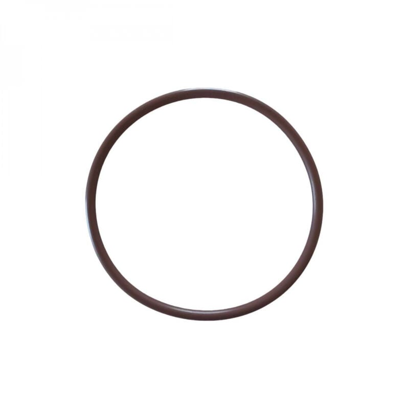 Hayward - Joint torique pour couvercle d'électrolyseur Saline c - ORX352V70