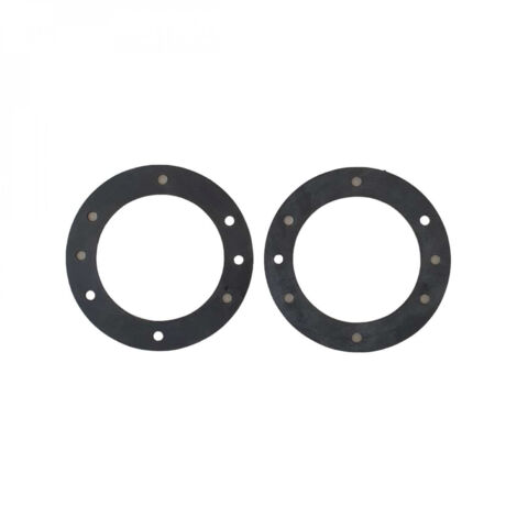 Hayward - Lot de 2 joints de bride pour projecteur COFIES 75W - PRHX20030