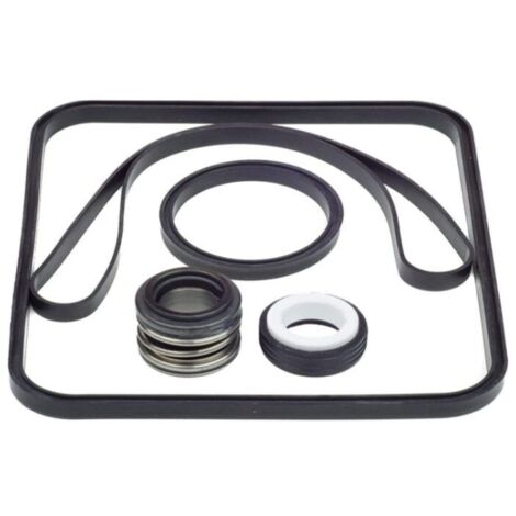 Hayward Super SPX1600 TRA Pumpen-O-Ring-Reparatursatz