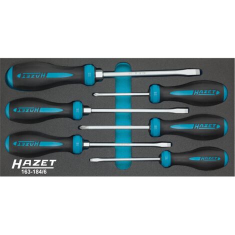 Hazet 163-184/6 Serie Di Giraviti Hexanamic, Argento, Numero Utensili 6