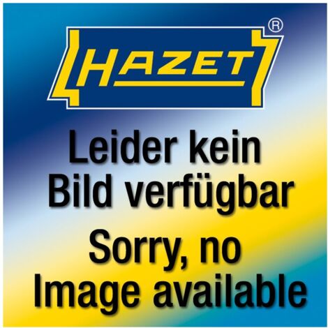 Hazet 2-Komponenten Weichschaum-Einlage 163-595L, 342 mm x 172 mm