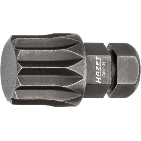 Hazet 2597-04 Tür-Scharnier-Bit 6k 8 mm, XZN M12