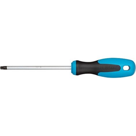 Hazet cacciavite, Profilo Interno Torx, larghezza chiave: T 27, 1 pezzi, lama mattverchromt, punta brunita, 810 T27