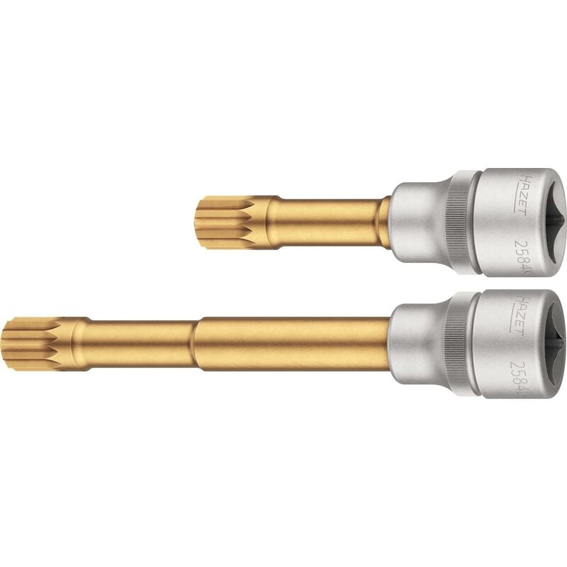 Jeu de douilles mâles 2584-12/2 ∙ Carré creux 1/2 pouce (12,5 mm) ∙ Profil denture multiple intérieur xzn ∙ 2 pièces ∙ Taille M12