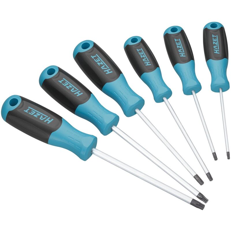 Tournevis 811T/6 ∙ Profil torx® intérieur ∙ 6 pièces ∙ T10 ∙ T15 ∙ T20 ∙ T25 ∙ T27 ∙ T30