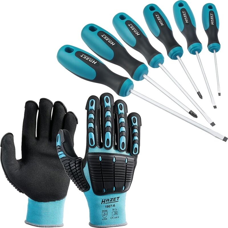 Image of HAZET Schraubendreher Satz 6-teilig inkl. Mechaniker Handschuhe Größe L