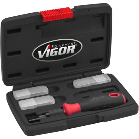 HAZET Set di raschietti ViGOR V6030 Set di 16 pezzi con lame di diverse larghezze incl. lame di ricambio Strumento per la rimozione di adesivi, adesivi, vignette o in cucina e in casa"