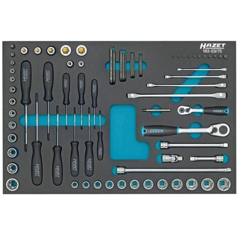 HAZET Steckschlüssel-Satz, TORX® Doppel-Ringschlüssel, Steckschlüssel usw. 163-5