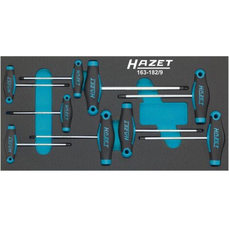 Hazet Werkzeugmodul 163-182/9 9-tlg.Anz.Werkzeuge:9 - 163-182/9