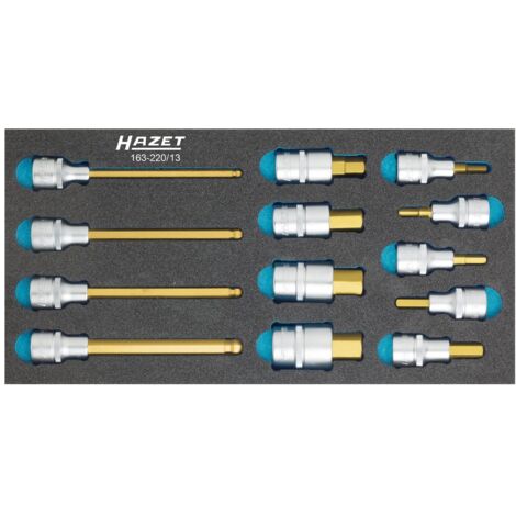 Hazet Werkzeugmodul 163-220/13 13-teilig - 163-220/13