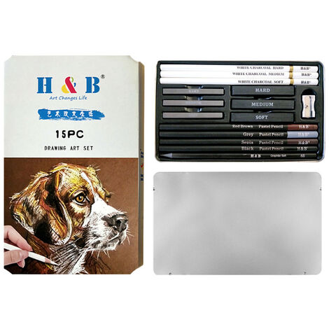 H&B 15Pcs/Set Art Supplies Drawing Kit White Charcoal and Pastel Pencils Set Painting Tools,model: 15 Pieces