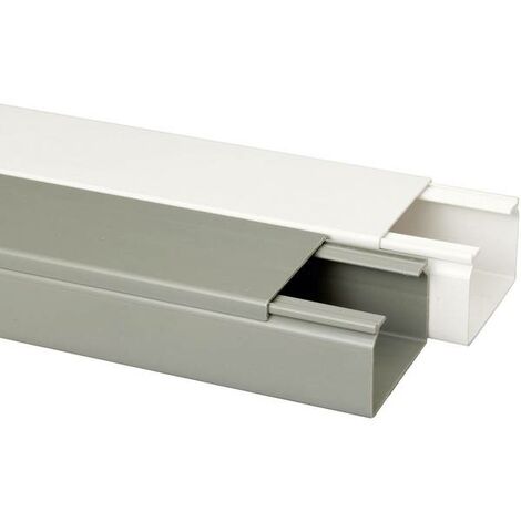 GGK 4176 Canale porta cavi (L x L x A) 500 x 20 x 20 mm 1 pz. Grigio  luminescente