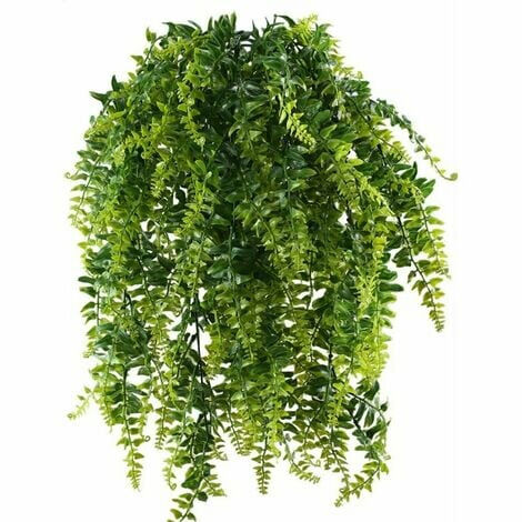 helechos colgantes – balcón / boda / jardín, regalo para el Día de la Madre, frescura garantizada