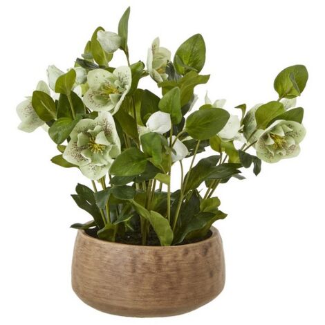 Hellebore Plant in Pot - Plastic - L33 x W38 x H41 cm - Green/Taupe
