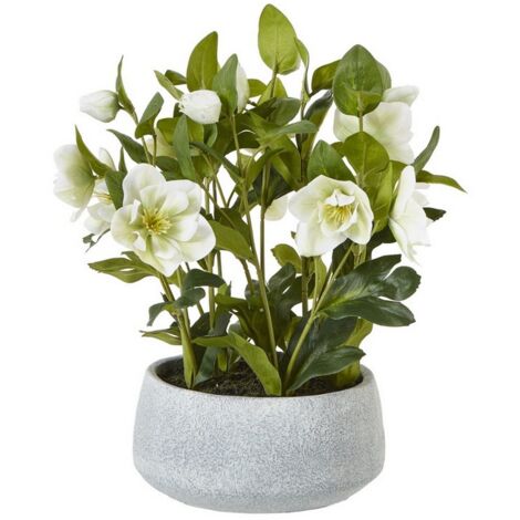 Hellebore Plant in Pot - Plastic - L33 x W38 x H41 cm - White/Grey