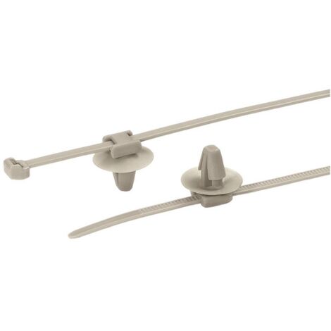 HellermannTyton 156-01091 PT2AP2SFT6.5-PEEK-BGE Serre-câble 145 mm 3.4 mm beige 1 pc(s) R941332