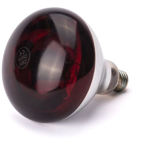 HENDI Infrarot-Glühlampe, Rot, 230V/250W, ⌀125x(H)170mm