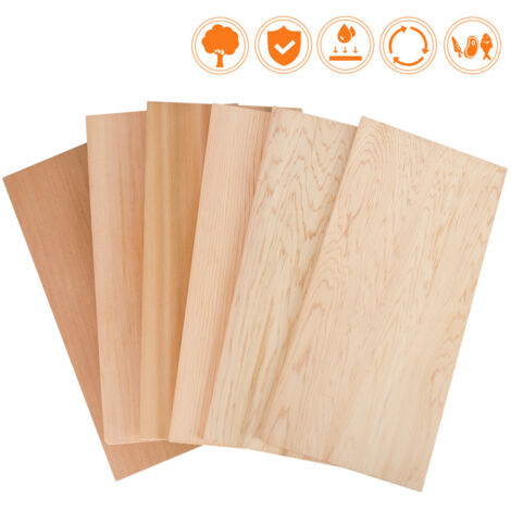 Hengda 6X Plaques de barbecue