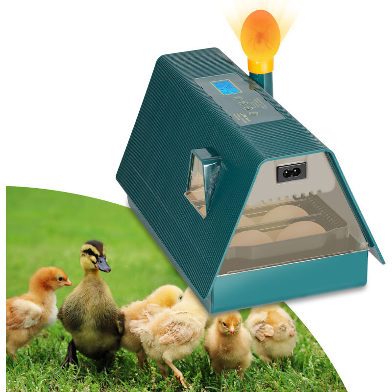 Couveuse Appareil à Couver 10 Oeufs Volaille Éleveur led Automatique Incubateur - Hengda