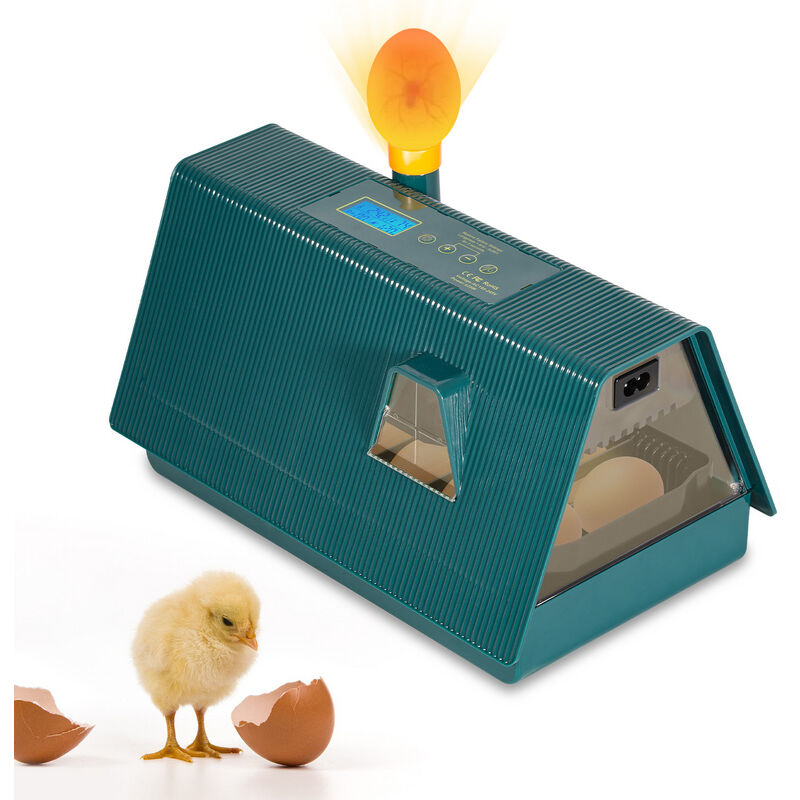 Hengda Couveuse automatique de 10 œufs de poules à affichage digital de la température Automatique mini pour Couver Poule Canard Caille œufs de canard