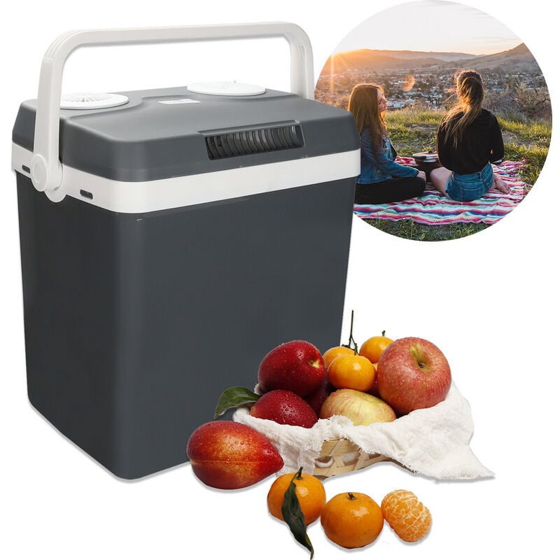 Hengda - swanew Glacière électrique 32 litres thermoélectrique 12 Volts et 230 Volts Mini-réfrigérateur pour la voiture et le camping