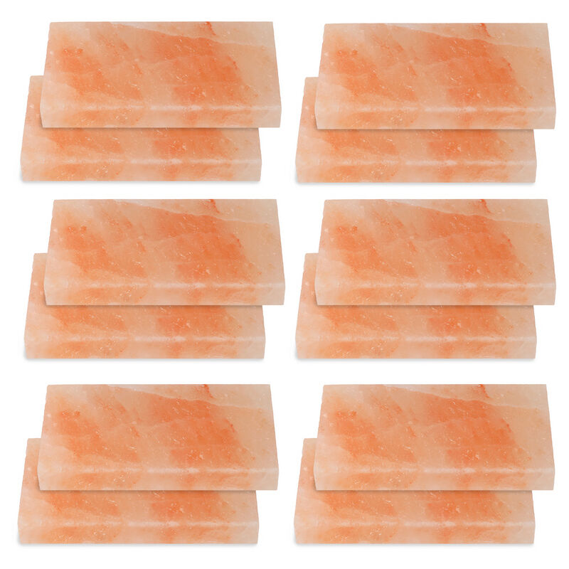 Pierre à sel gril-repas plaque à sel poisson 20x10x2.5cm bbq carreau de gril 12X - Hengda