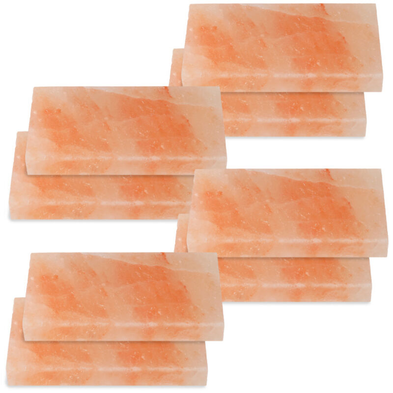 Pierre à sel gril-repas plaque à sel poisson 20x10x2.5cm bbq carreau de gril 8X - Hengda