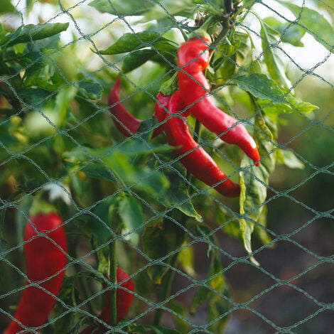 Rete Protettiva Protezione Anti Uccelli Piccioni per Giardino Piante Orto  4x10m