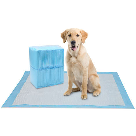 Pet Soft Lot de 10 tapis de dressage en fibre de carbone pour chiots,  grands tapis anti-fuites et super absorbants pour chien et chat (60 x 60 cm)