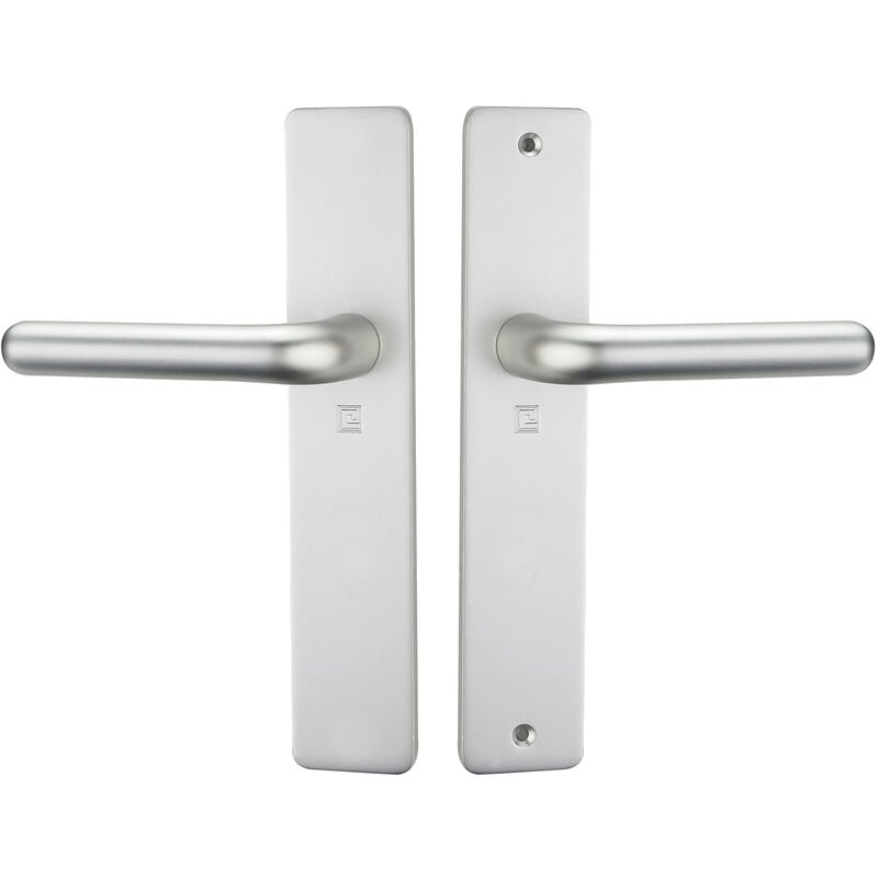 Heracles - Ensemble sur plaque xenia bec de cane argent B-XENIA-01