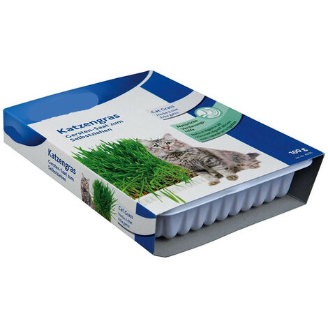 Herbe à chat, barquette de 100g - animallparadise - Multicolor