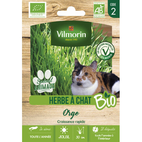 Herbe à Chat (Orge) - BIO - Grand Modèle Vilmorin