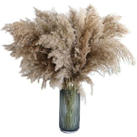 Herbe de la pampa, 20 pièces, 60 cm, séchée naturellement, mariage, bouquet tendance, fleurs artificielles, pour décoration intérieur, vases intérieur