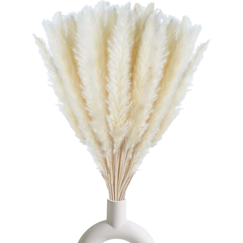 30pcs Herbe de la Pampa Sechees Decoration,Fleurs Séchées Naturelles 45cm Blanche,pour Décoration de Table Boho,Mariage et de Fête pour Deco
